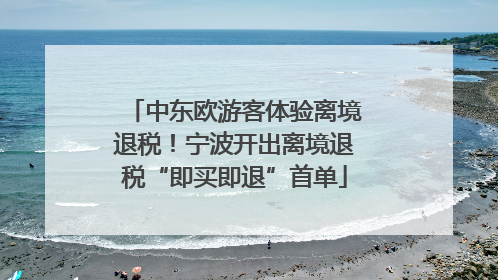 中东欧游客体验离境退税！宁波开出离境退税“即买即退”首单